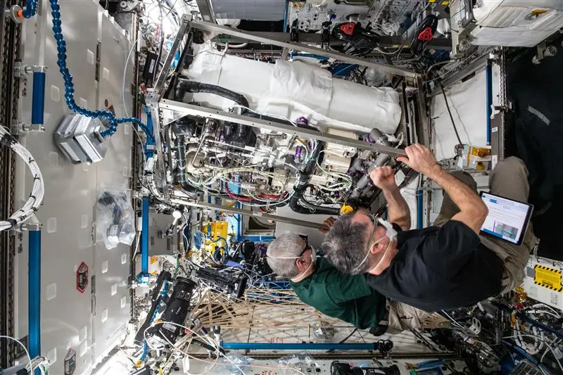 Ecliss image